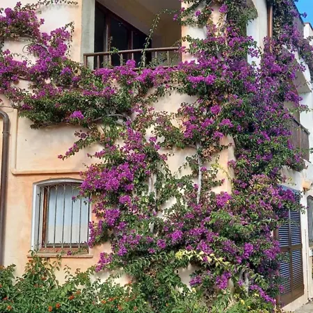 Hotel apartamentowy Residenza Chrysalis Bay Porto Cervo