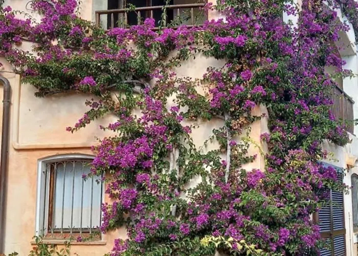 Lägenhetshotell Residenza Chrysalis Bay Porto Cervo